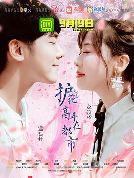 護(hù)花高手在都市第05集