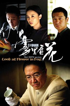 霧里看花第03集