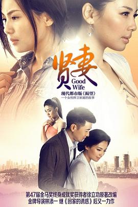 賢妻2013第09集