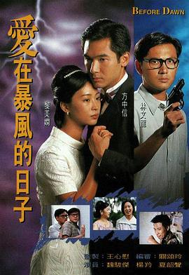 愛在暴風的日子國語第04集