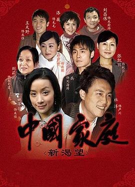 中國(guó)家庭之新渴望第04集