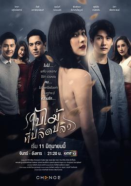 吹落的樹葉第08集