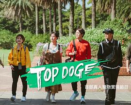 TOP DOG第20230429期