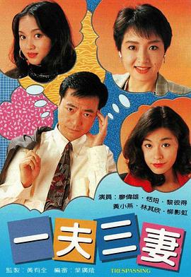 一夫三妻國語第08集