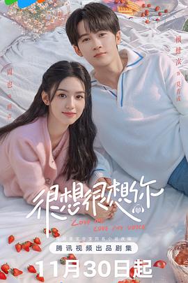很想很想你第04集