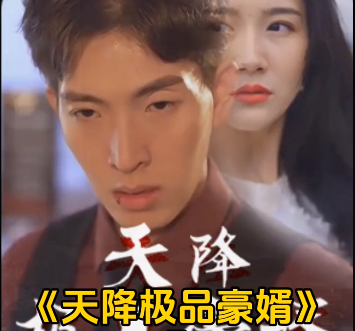 天降極品豪婿第07集