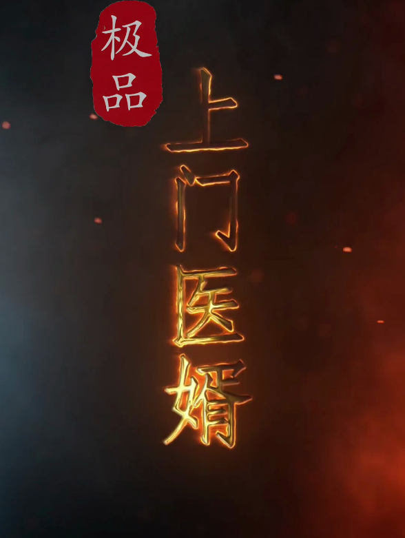 極品上門(mén)醫(yī)婿第29集
