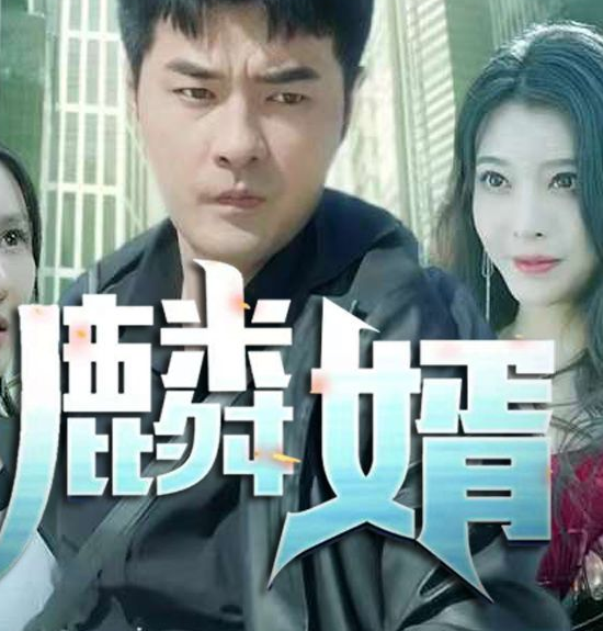 麟婿第18集
