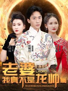 老婆我真不是龍帥啊第09集