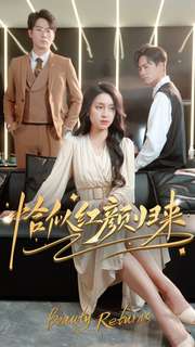 恰似紅顏歸來第09集