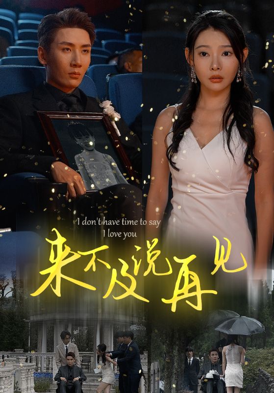 來(lái)不及說(shuō)再見(jiàn)第08集