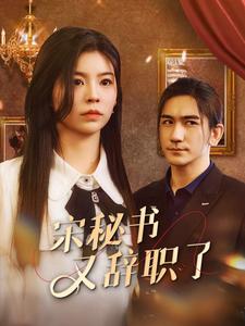 宋秘書又辭職了第05集