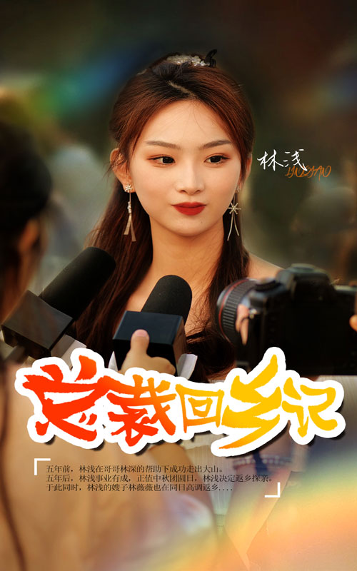 總裁回鄉(xiāng)記第01集