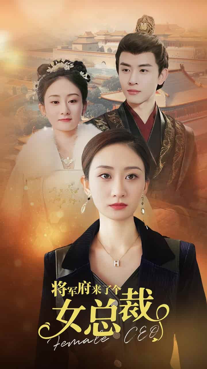 將軍府來(lái)了個(gè)女總裁第09集