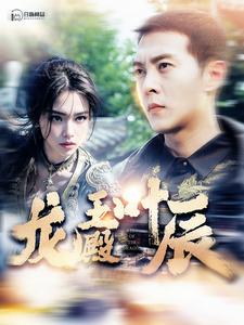 龍王殿葉辰第42集