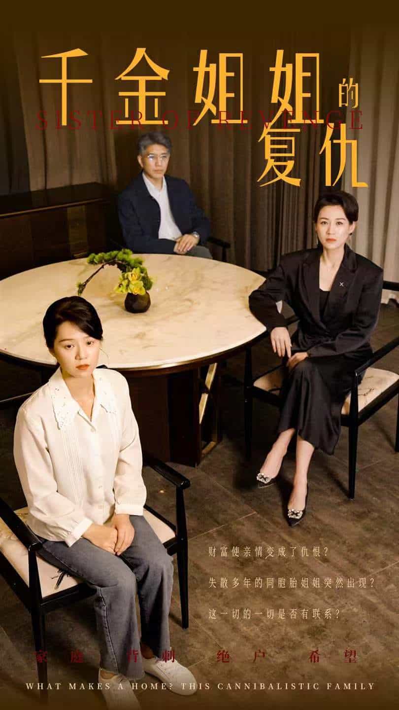 千金姐姐的復(fù)仇第02集