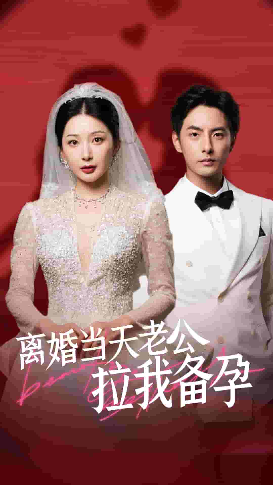 離婚當(dāng)天老公拉我備孕第25集