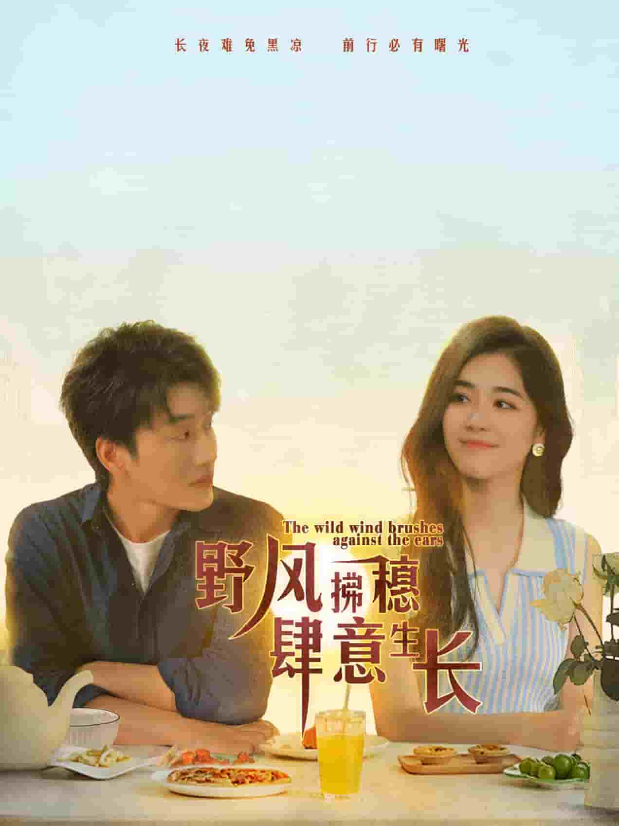 野風(fēng)拂穗肆意生長第09集