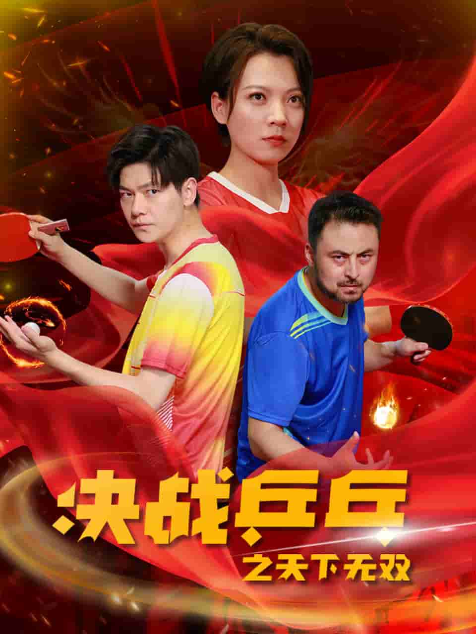 決戰(zhàn)乒乓之天下無(wú)雙第12集