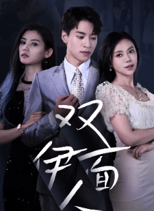 雙面伊人第22集