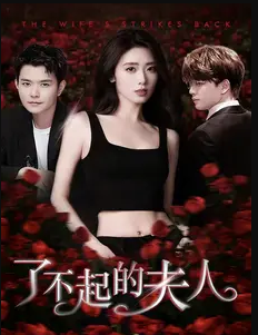 了不起的夫人第05集