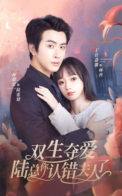 雙生奪愛陸總你認(rèn)錯(cuò)夫人了第16集