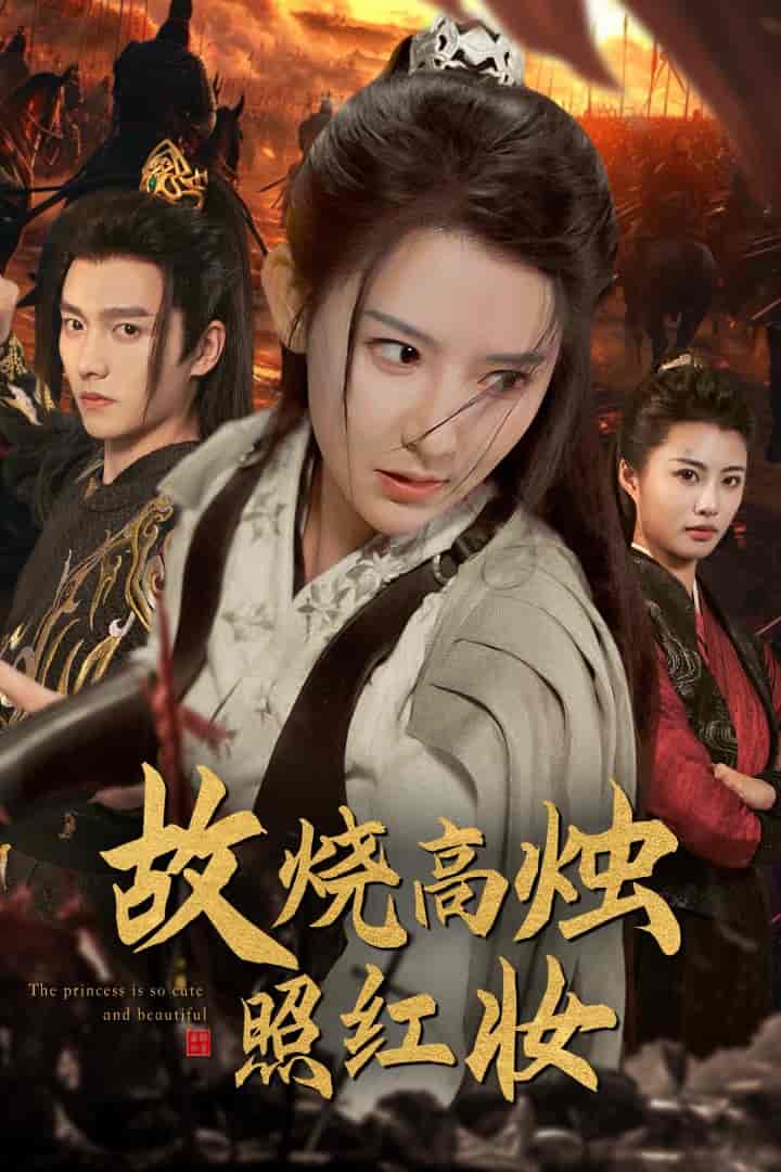 故燒高燭照紅妝第08集