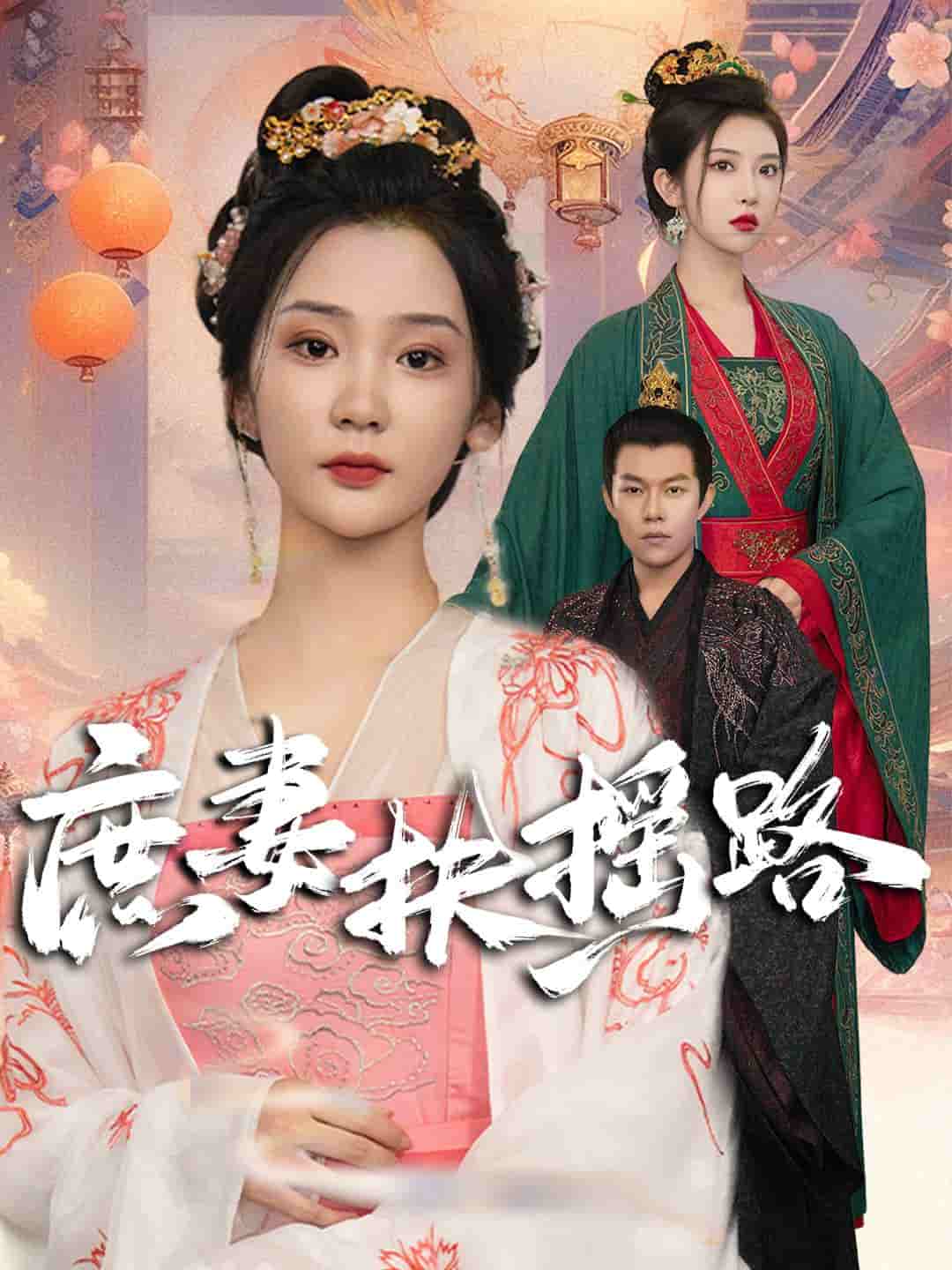 庶妻扶搖路第04集