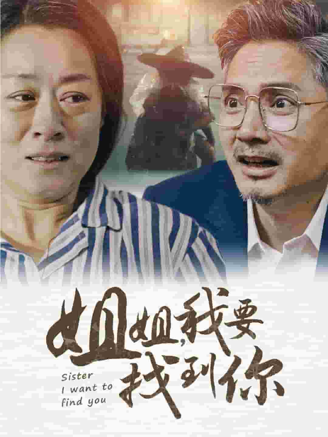 姐姐我要找到你第12集