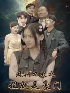 鳳翔九天之姐就是豪門第22集