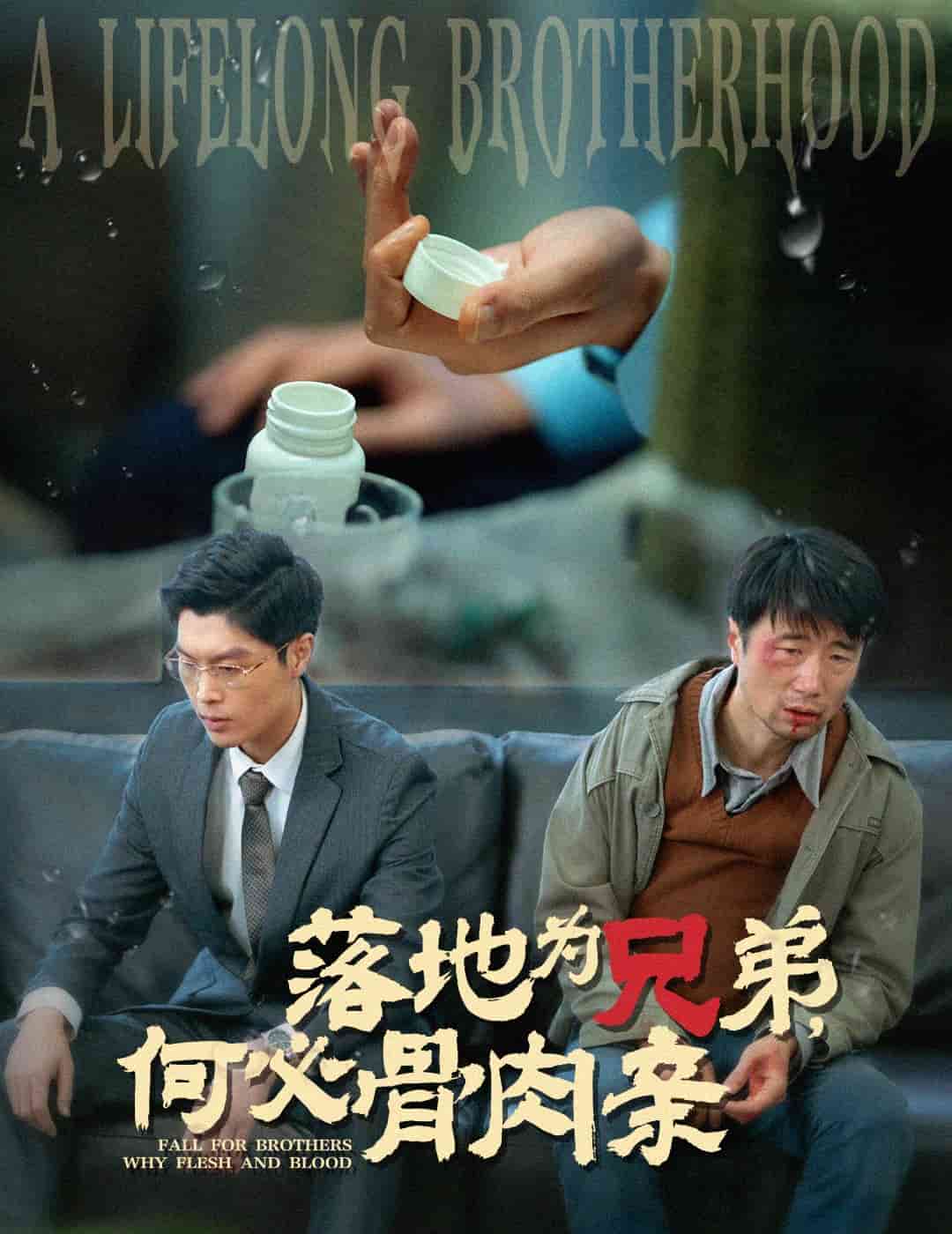 落地為兄弟，何必骨肉親(全集)