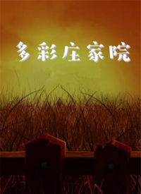 多彩莊家院第8集