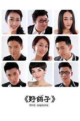 野鴿子第25集